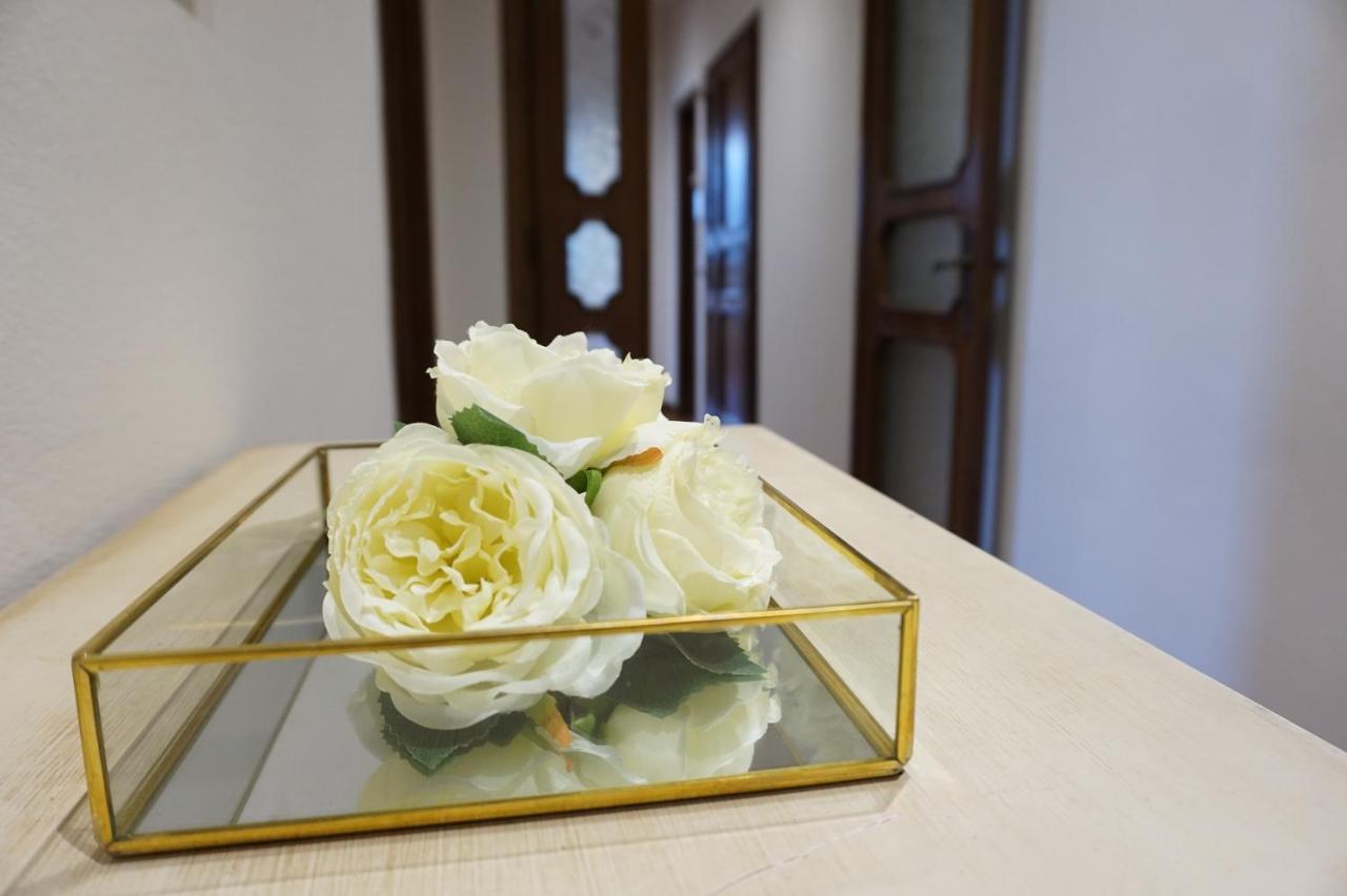 Barsotti Luxury Lucca